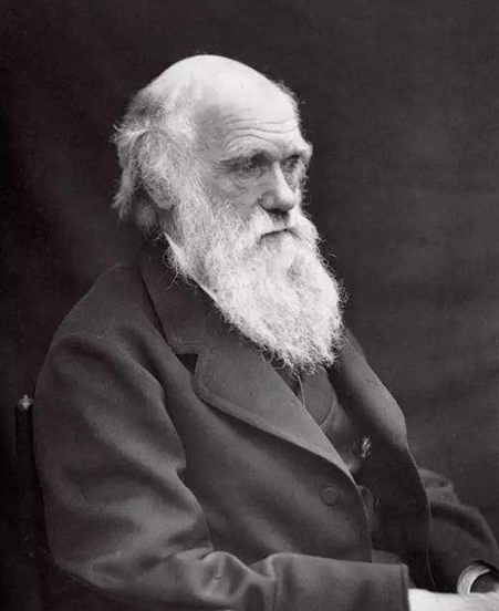 darwin"s origin of species -1859(1859年,达尔文的物种起源)